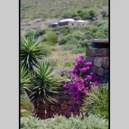 Dammuso Bianca Maria Holiday home *